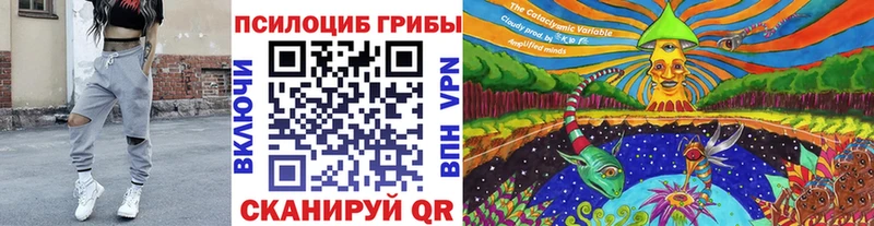 Галлюциногенные грибы Psilocybe  Волгодонск 